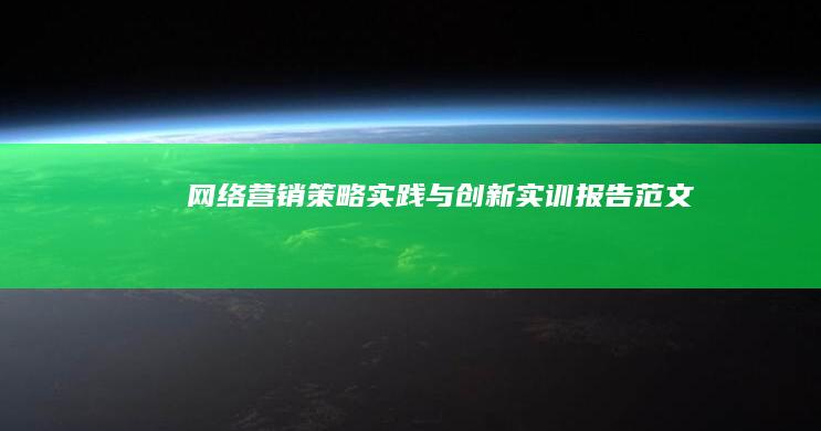 网络营销策略实践与创新实训报告范文